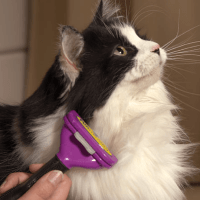 FURminator DeShedding Tool for Cats