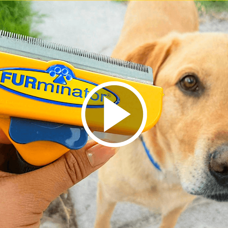 FURminator Video